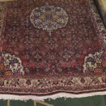 611 5666 ORIENTAL RUG